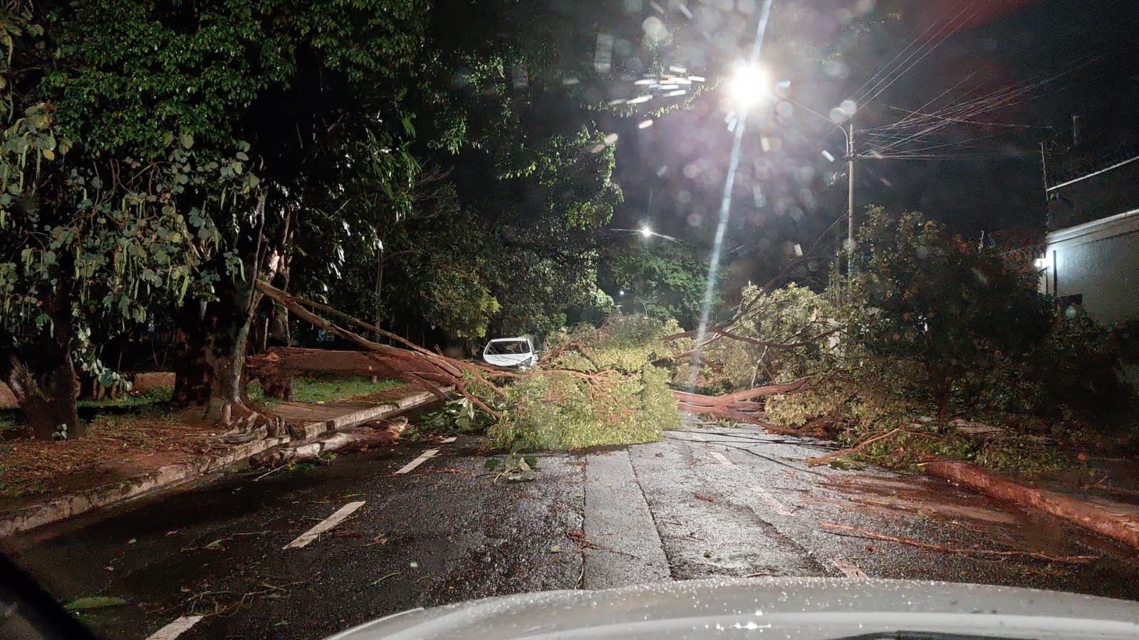 Temporal deixa rastro de destruição em Campo Grande