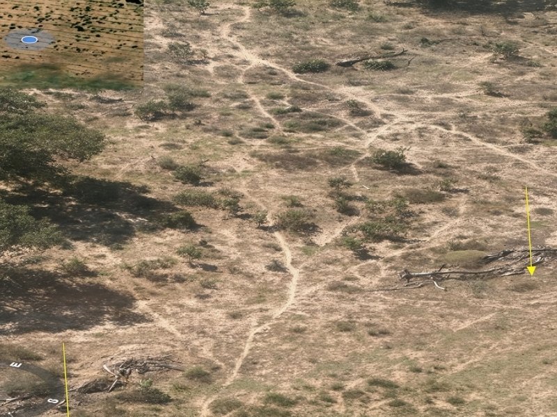 Desmatamento de mais de 750 hectares no Pantanal vira alvo de investigação do Ministério Público Estadual